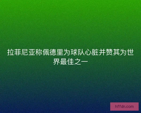 拉菲尼亚称佩德里为球队心脏并赞其为世界最佳之一